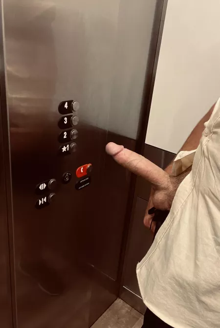 Going up 🍆 by Ok-Cap3716