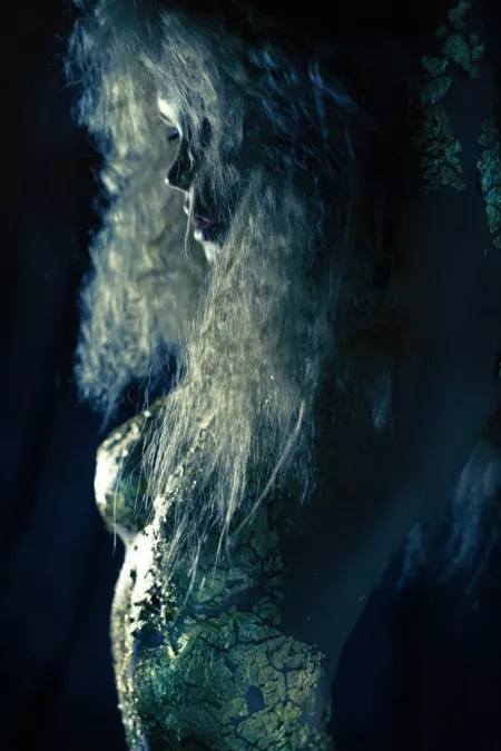 Gold leaf 1 by [deleted]