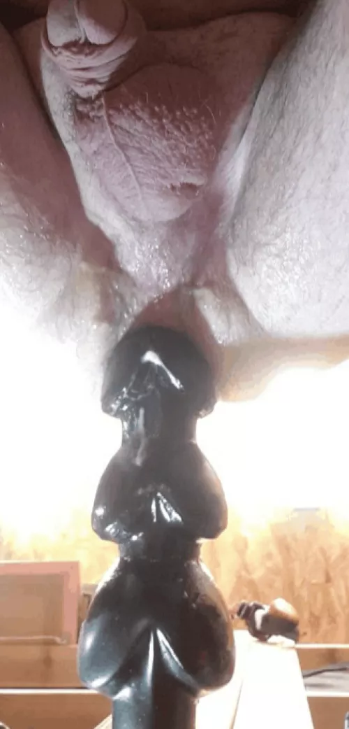 Gonna enjoy!! by Celticrise