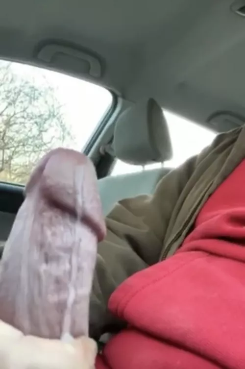 Gonna need my car detailed by iuurbul