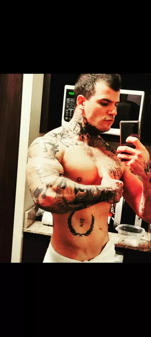 Good afternoon ox by KingAlexxxander