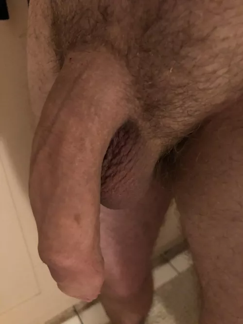 Good evening by LifeOfBrine