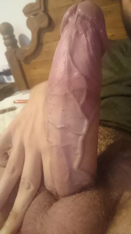 Good evening folks by younghungfun69