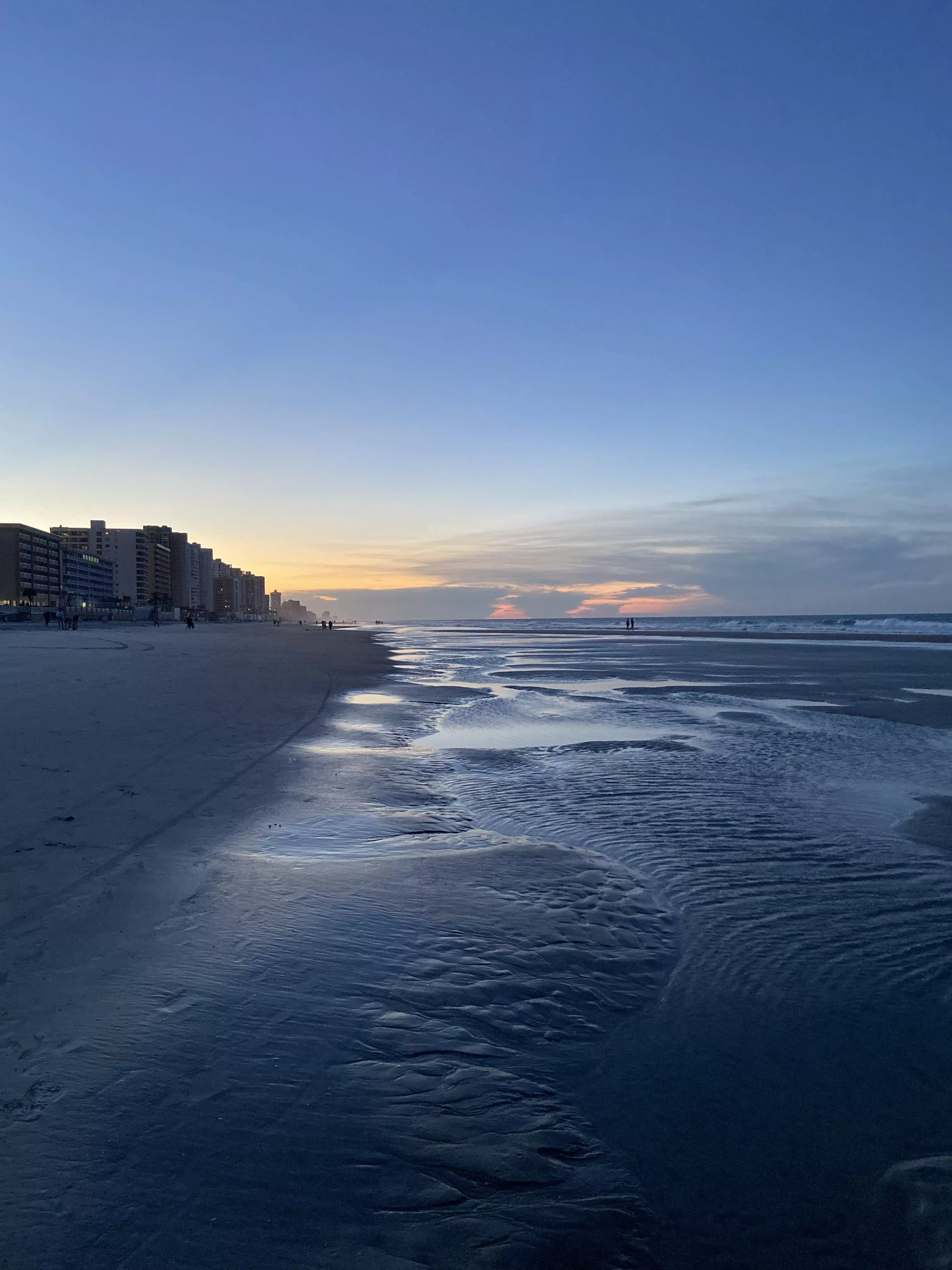 Good Evening from Florida! posted by jigglyjedi88