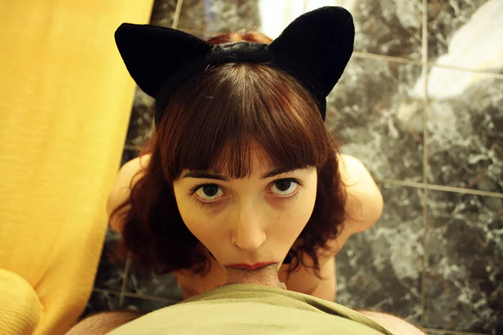 Good kitty posted by eduleiria