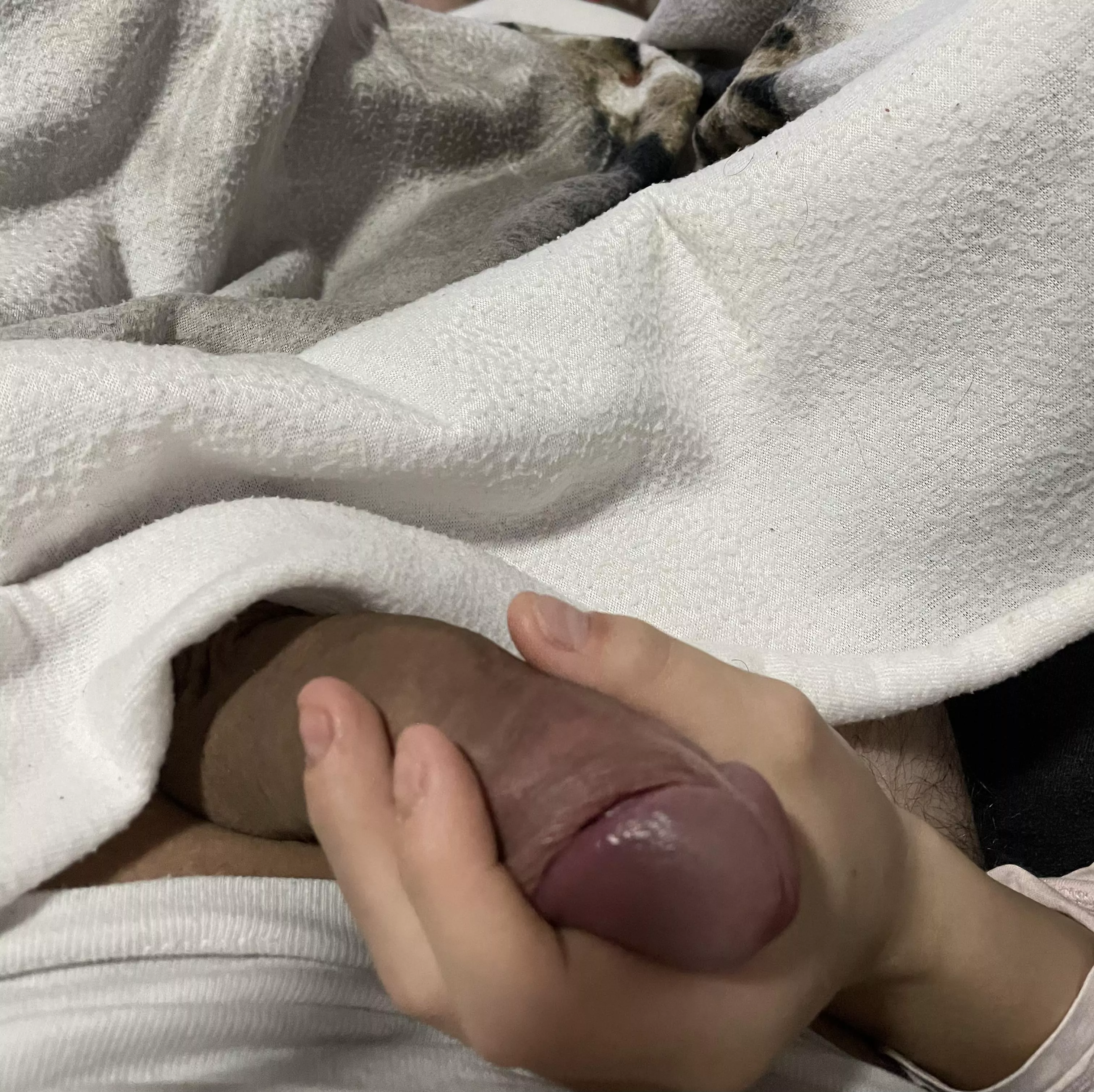 Good Morning posted by 2020Qwert