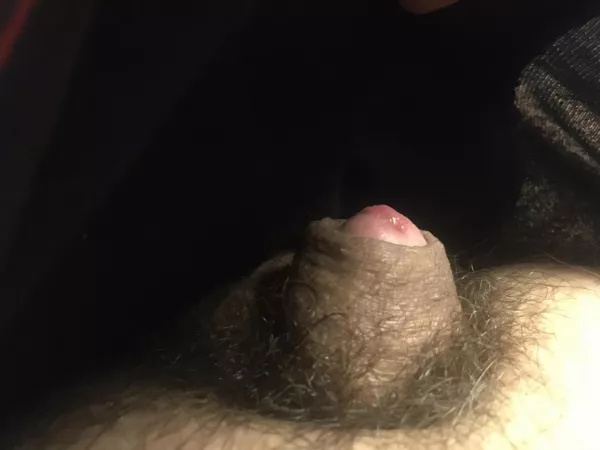 Good morning!! [38] by tricotriru