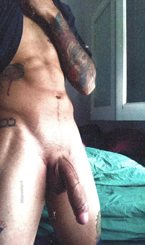 Good morning 🌅 by milanesita14