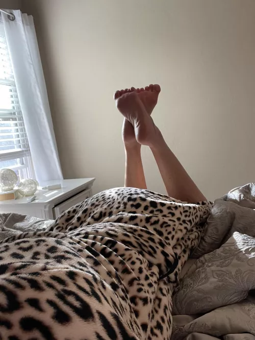 Good morning by Cealliagh