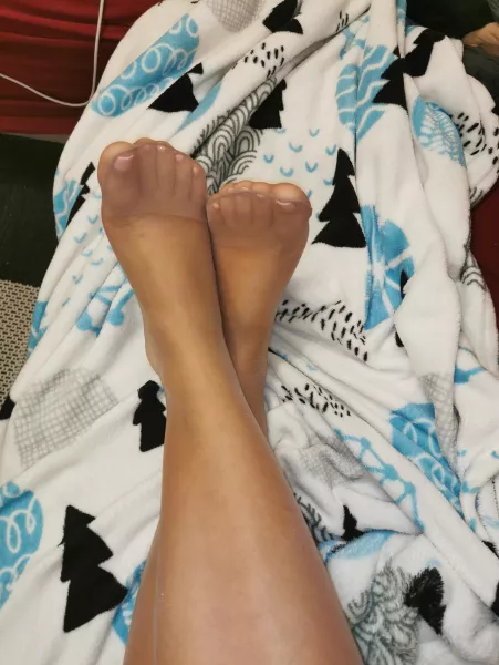 Good morning! by Holiday_Gazelle_6428