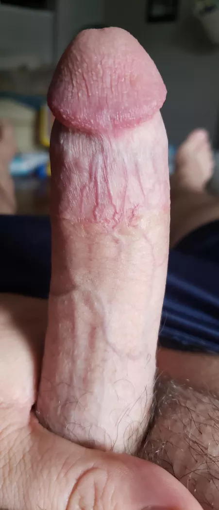 Good (m)orning Edmonton. by Canadianguy0690