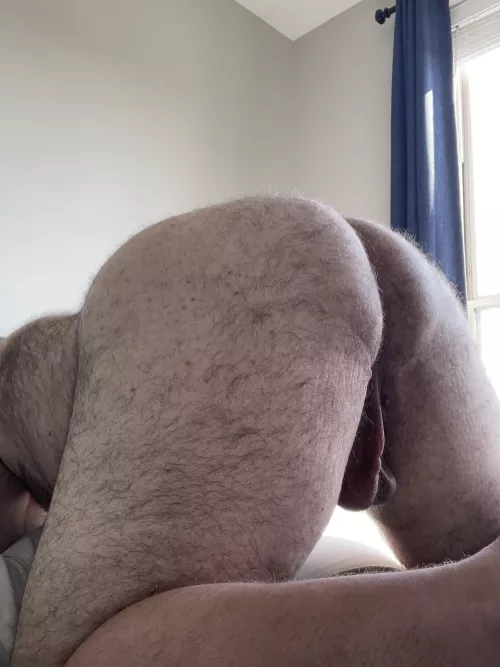 Good morning! by hoosiercub1