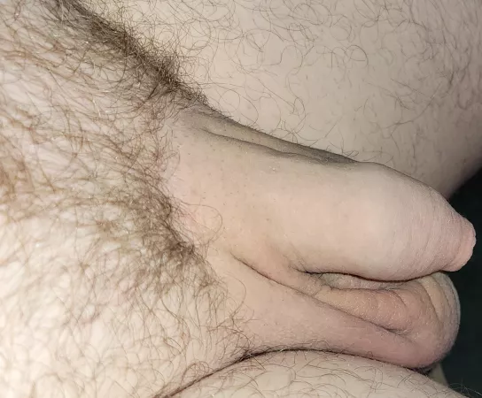 Good morning everyone by Emotional_Hour4238