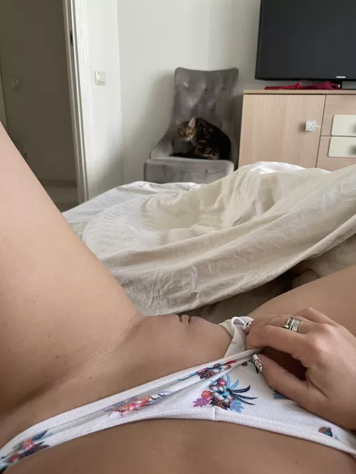 Good morning from both us by Julia_zuzu