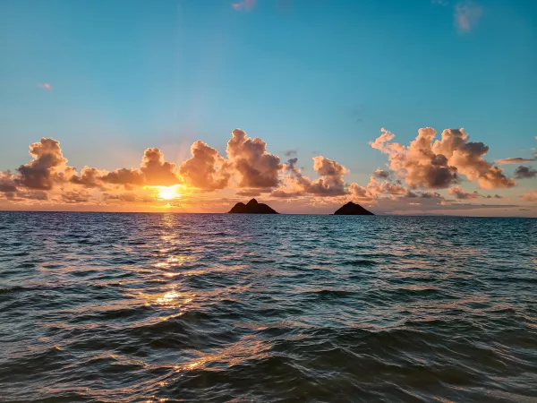 Good morning from Hawaii by letthemeatcake777