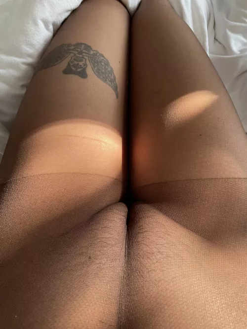 Good morning from my pantyhose cameltoe by mollysbloomers89