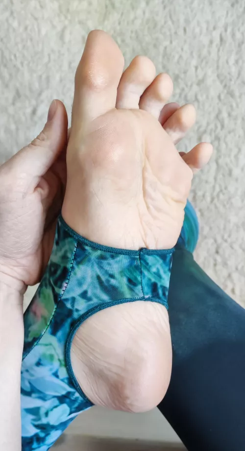 Good morning, hun! by kittekatten