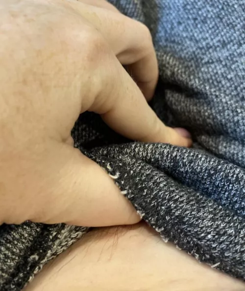 Good Morning pretty bush! Who wants to $ee more? by RedcheerStar