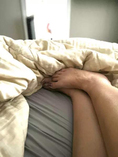 Good morning 💜 Rub, lick or tickle to start the day? by missvioletsky4