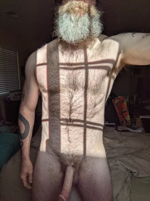 Good morning, sunshine by dodgeballislife