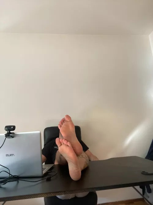 good morning yall 🐽 by peachfromserbia