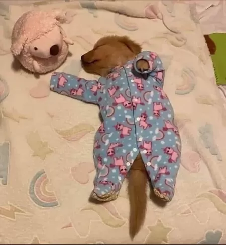 Good Night by Optimus_Swine71