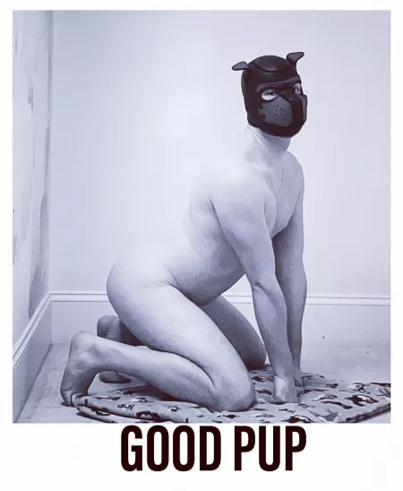 Good Pup, wouldn’t you agree? by white-pup