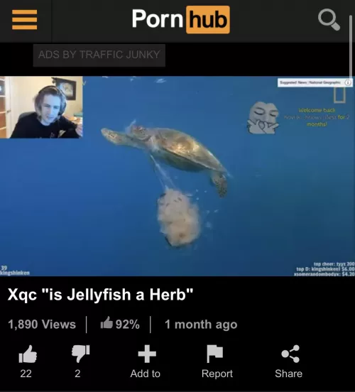 Good question indeed by BoiFromTheSouth