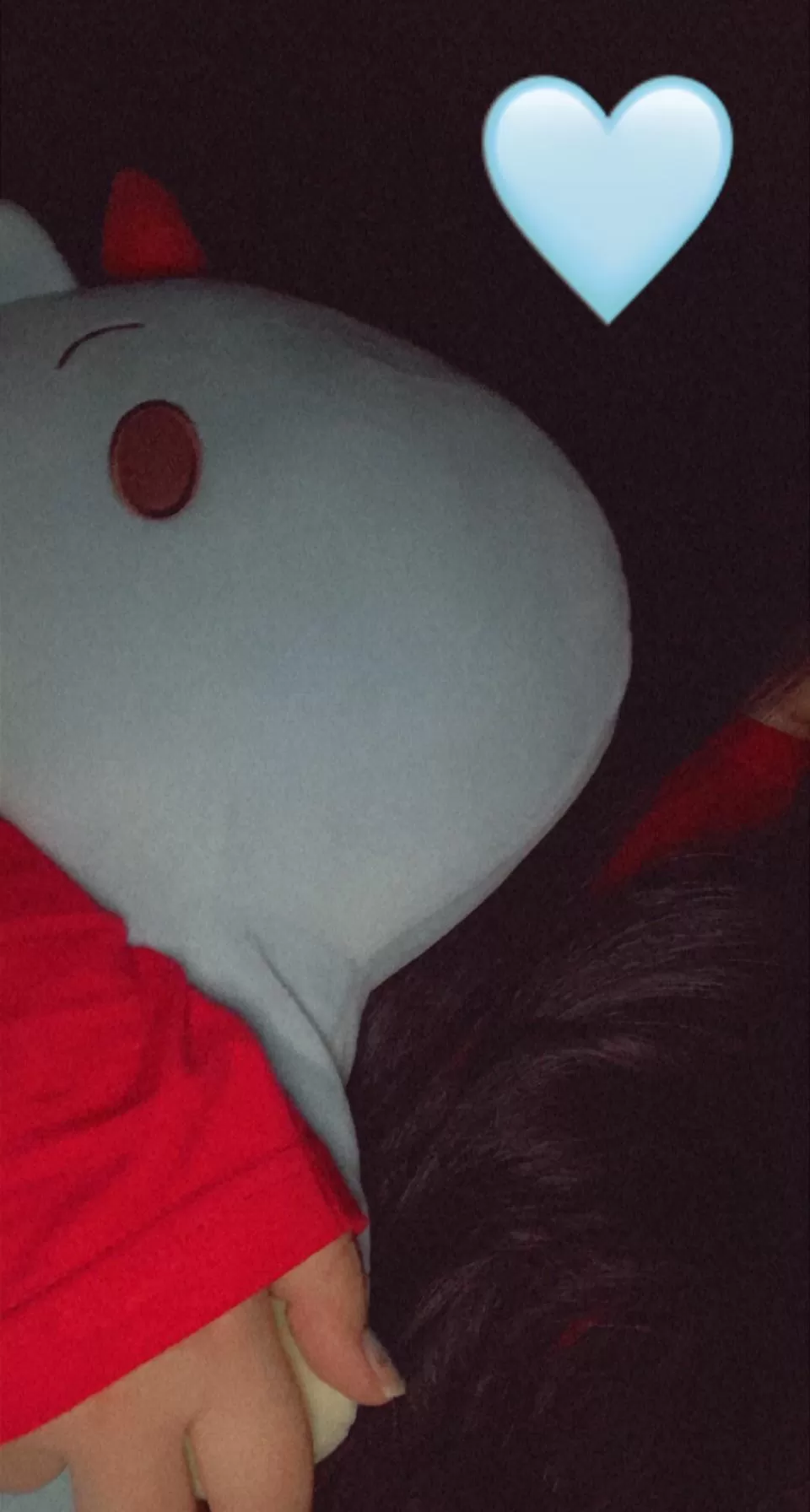 goodnight from me and mr blueberry💙❤️ we hope this account can be a healthy safe place☺️👉🏻👈🏻 have a good day/night everyone *kissies* posted by stuffielovingangel