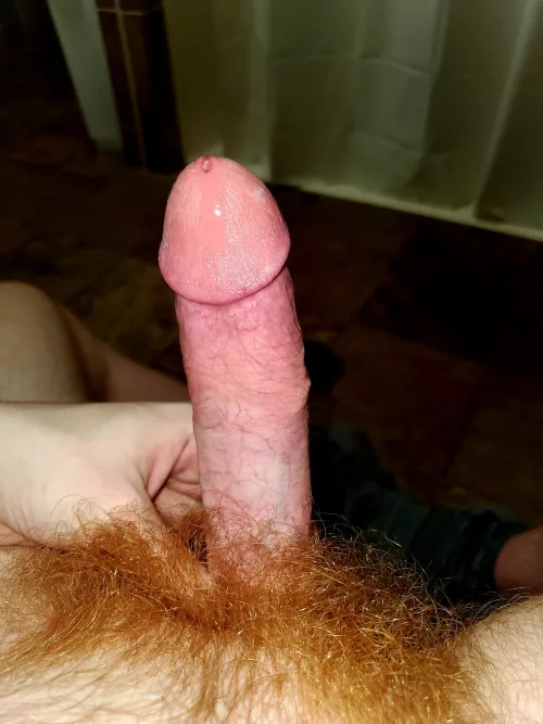 Goodnight reddit Boys, anyone wanna jack off before bed to my cock ? 😜 by GymBruhReddit