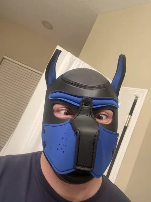 Goofy pup by luca_saytr