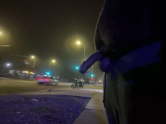 Got a boner while walking the dogs. Whipped it out on the street by sp108am