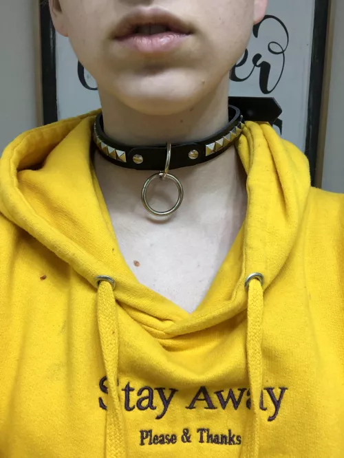 Got a collar by Anonymous_Loser13