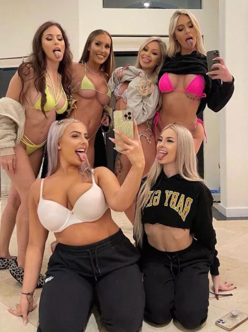 Got a favorite? by Several_Knee_7408