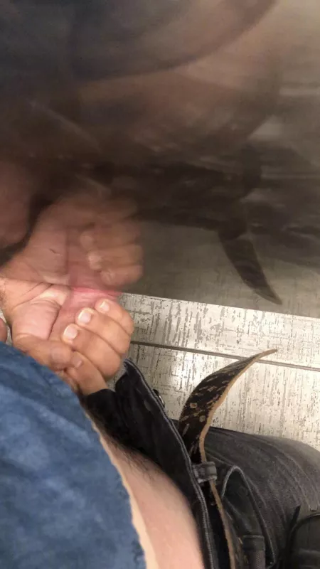 Got a handjob from under the stall while at work yesterday. This is a screenshot from the video I took by thotiana-grande