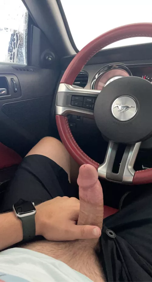 Got a little horny while going through the car wash by panoramicgay