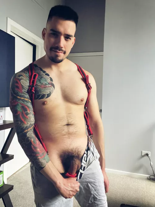 Got a new harness 😈 by EverythingsOak