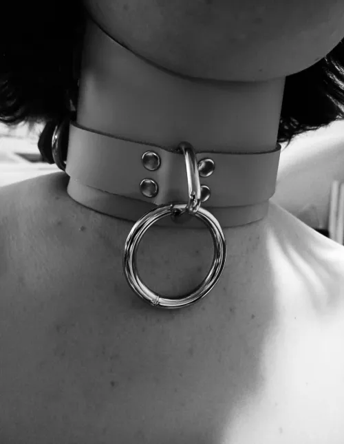 Got a new posture collar! by delightfullyruined