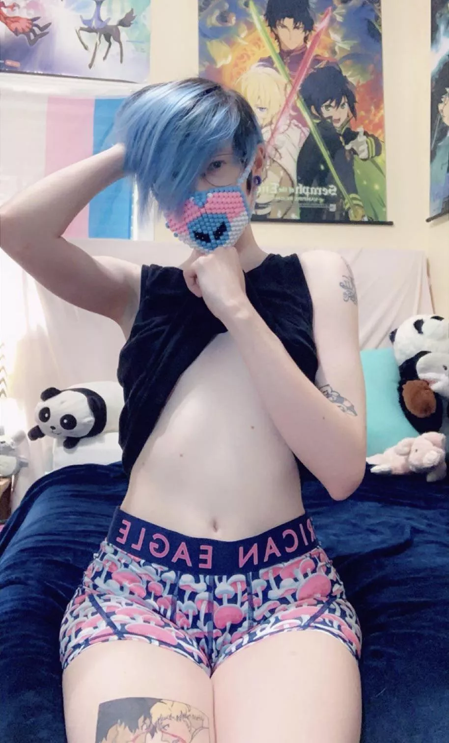 Got all my stuffies to keep me company 💙👽 posted by dejectedwraith