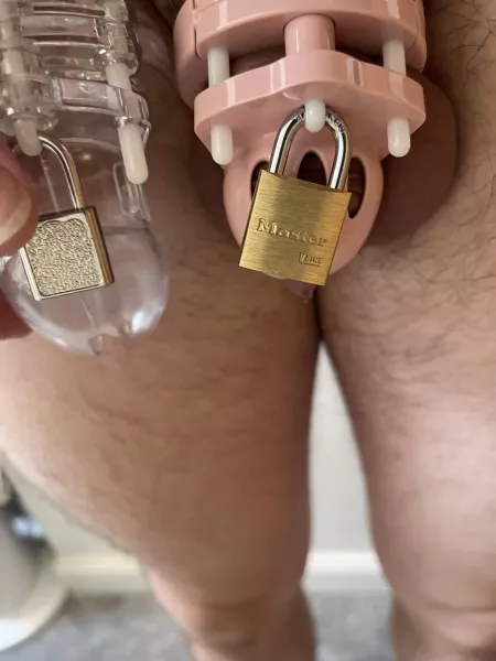 Got an even smaller cage by -_GayShit_-
