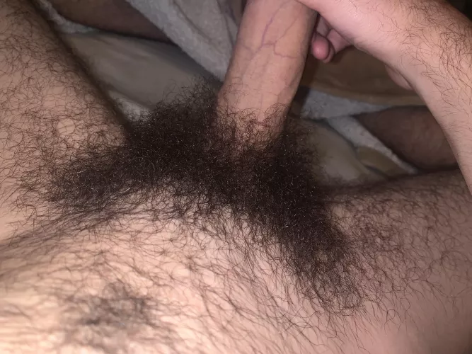 got bush? i do! by gxyxcix