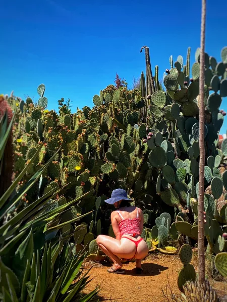 Got caught in a prickly situation 😉 [F] by aussieSAHM