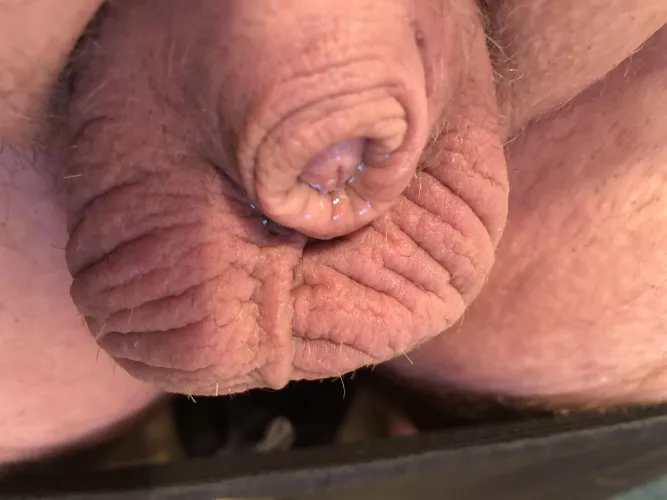 Got exited this morning and couldn’t hold it all in. Still haven’t released and not sure I should. What do you think? by justfordirtypics123