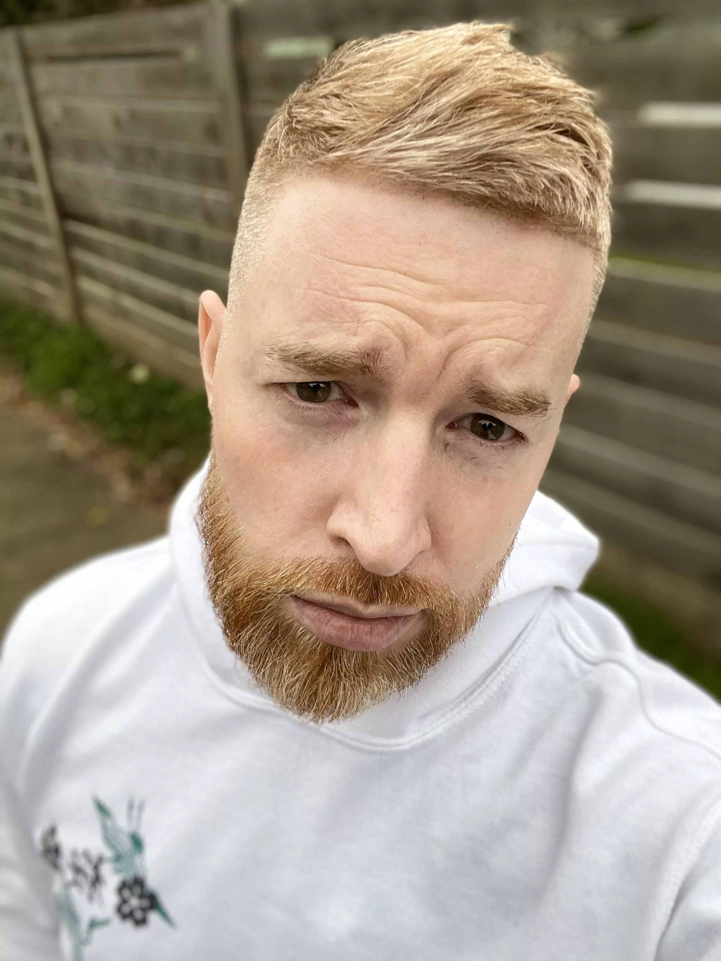 Got haircut/cleaned up for eventual bad date 😞 posted by Irishpup5555