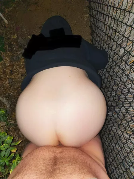 Got horny while we were out for a walk and ended up fucking behind a bush in someone’s front yard! (OC) by Curioushubsandwife