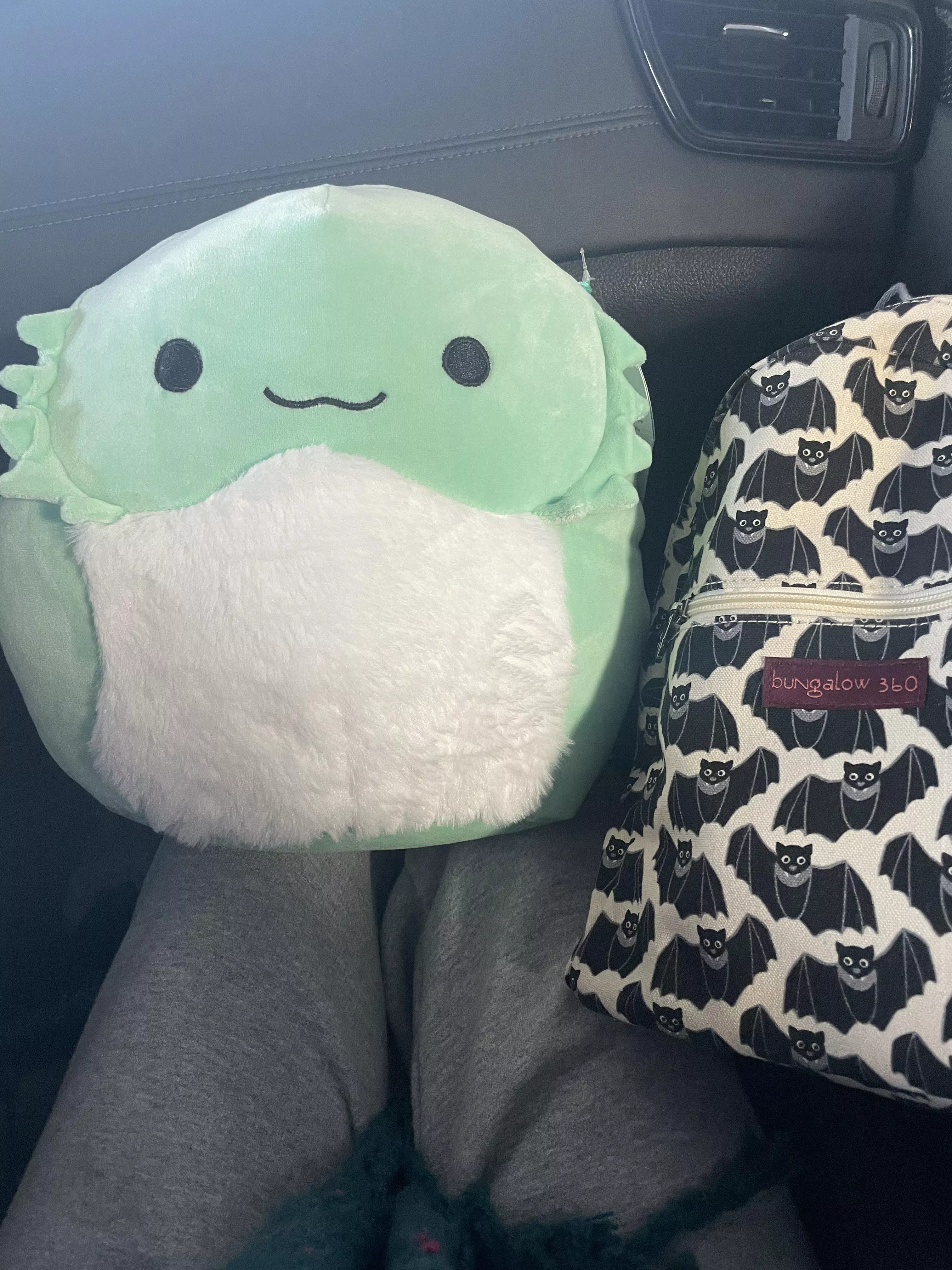 Got my little Abe 🥺 posted by alarmedlittlefrog