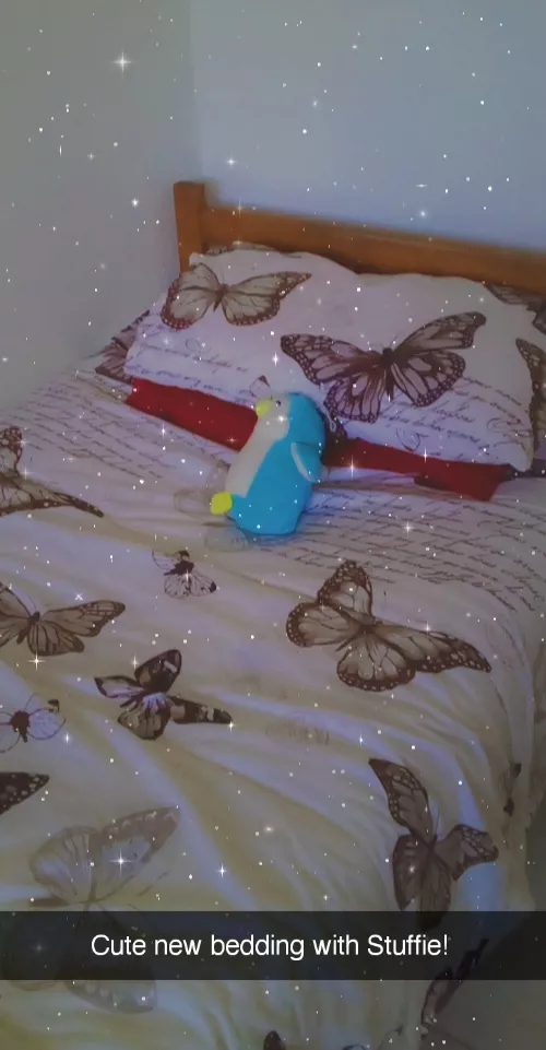 Got new bedding, butterflies! 💖🦋 posted by Aggravating-Post3278