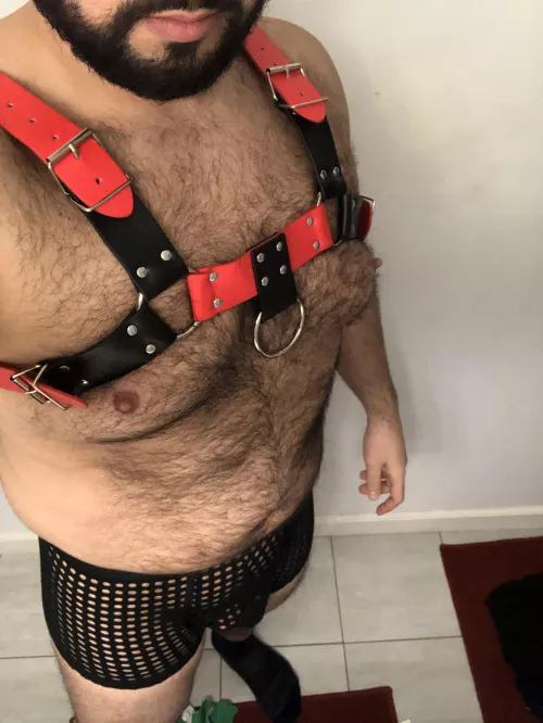 Got new gear today. by lebcan90