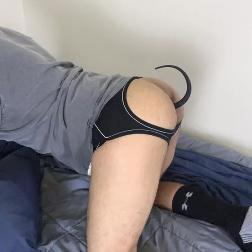 Got The Tail In🍑😈 by PupKaje