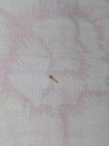 Got this out of my apparently closed lobe piercing by upsidedownwafer